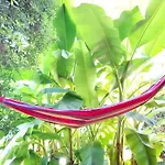 Hiker & Biker House - Private Parking & Garden * 法拉-迪索利戈