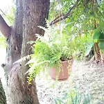 Hiker & Biker House - Private Parking & Garden 公寓