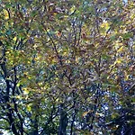 Hiker & Biker House - Private Parking & Garden 公寓 *