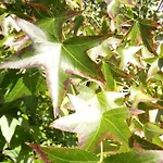 Hiker & Biker House - Private Parking & Garden 公寓