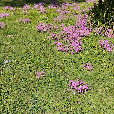 Apartmán Hiker & Biker House - Private Parking & Garden *