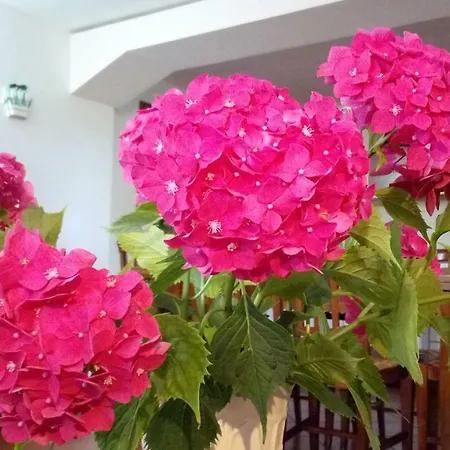 Appartement Hiker & Biker House - Private Parking & Garden Farra di Soligo