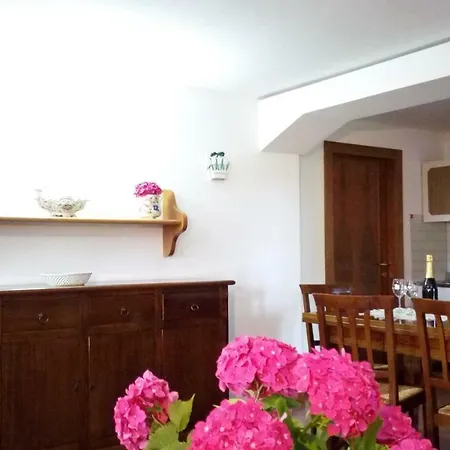 Spazioso E Confortevole Appartamento. Apartment *